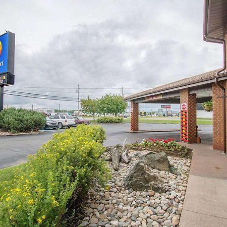Comfort Inn Άμερστ Εξωτερικό φωτογραφία