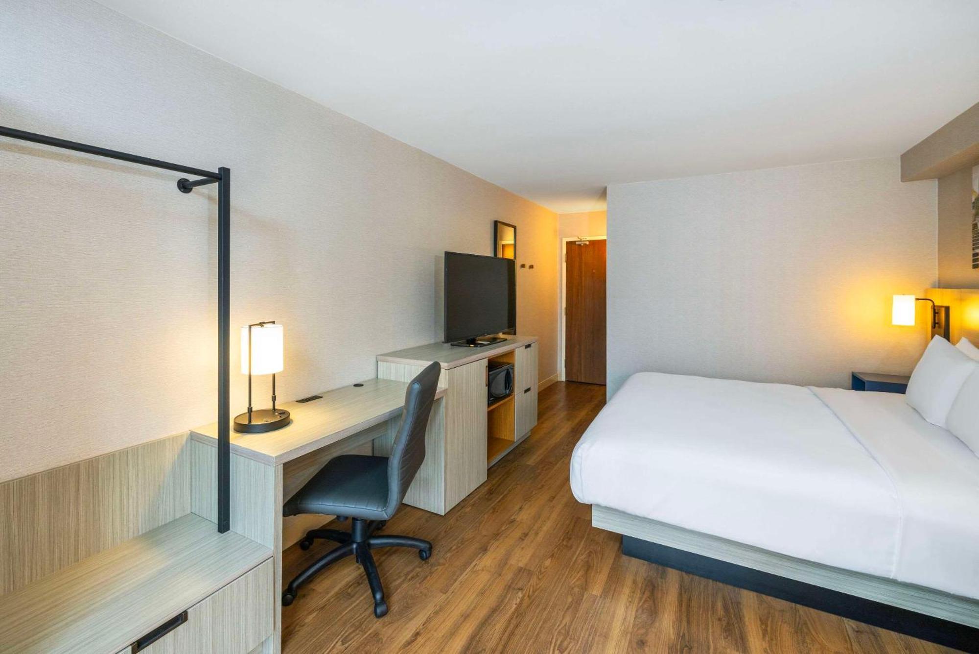 Comfort Inn Άμερστ Εξωτερικό φωτογραφία