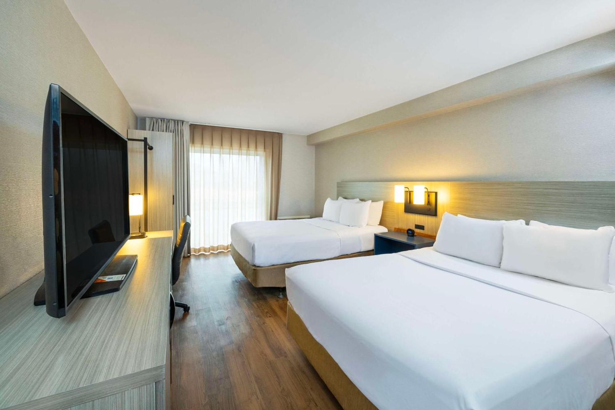Comfort Inn Άμερστ Εξωτερικό φωτογραφία