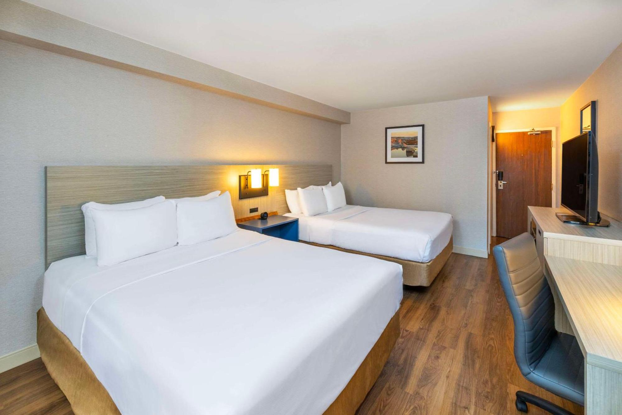 Comfort Inn Άμερστ Εξωτερικό φωτογραφία