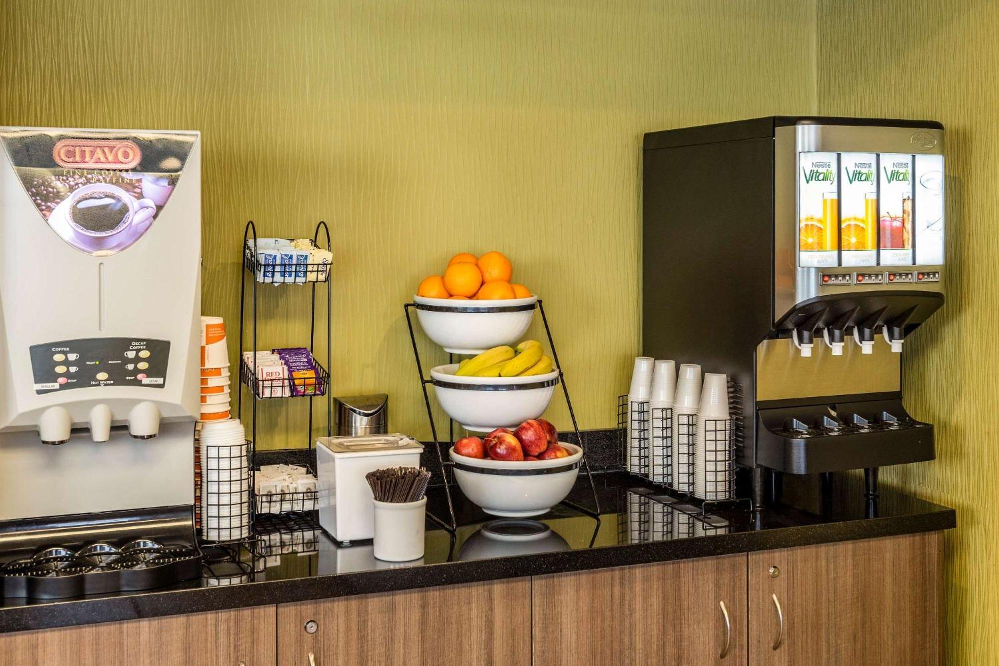 Comfort Inn Άμερστ Εξωτερικό φωτογραφία